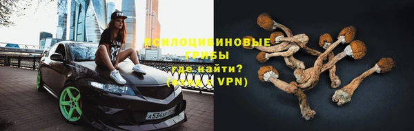 мяу мяу кристалл Алексин