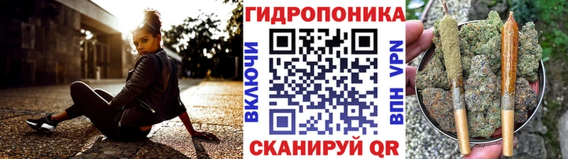 Бошки марихуана план  Сосновка 